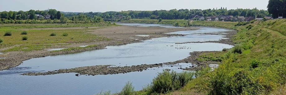 Picknick aan de Maas