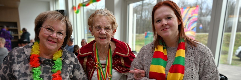 Carnaval in WZC Ludinaca