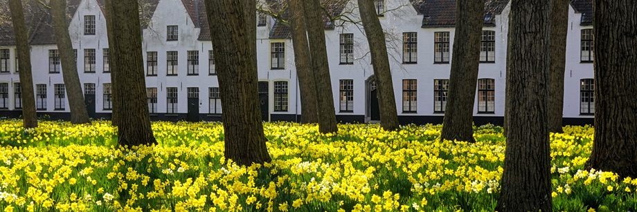 Paasbloemen Brugse Begijnhof